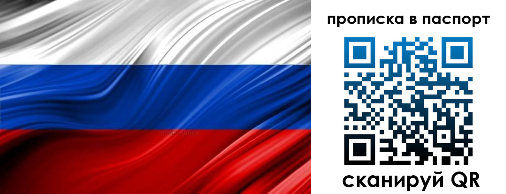 временная регистрация гарантия в Курске